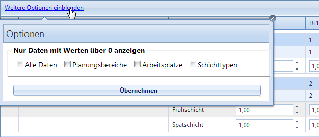 Planung - Bedarfanpassung - Optionen