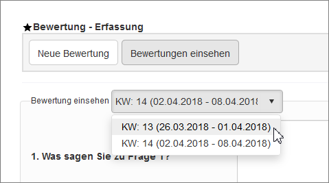 Reporting - Bewertung erfassen - Bewertung einsehen